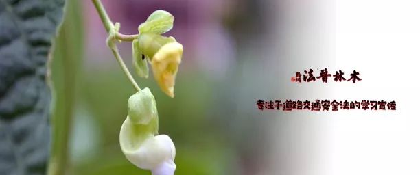 交通事故保险过期,交通事故保险过期了可以理赔吗