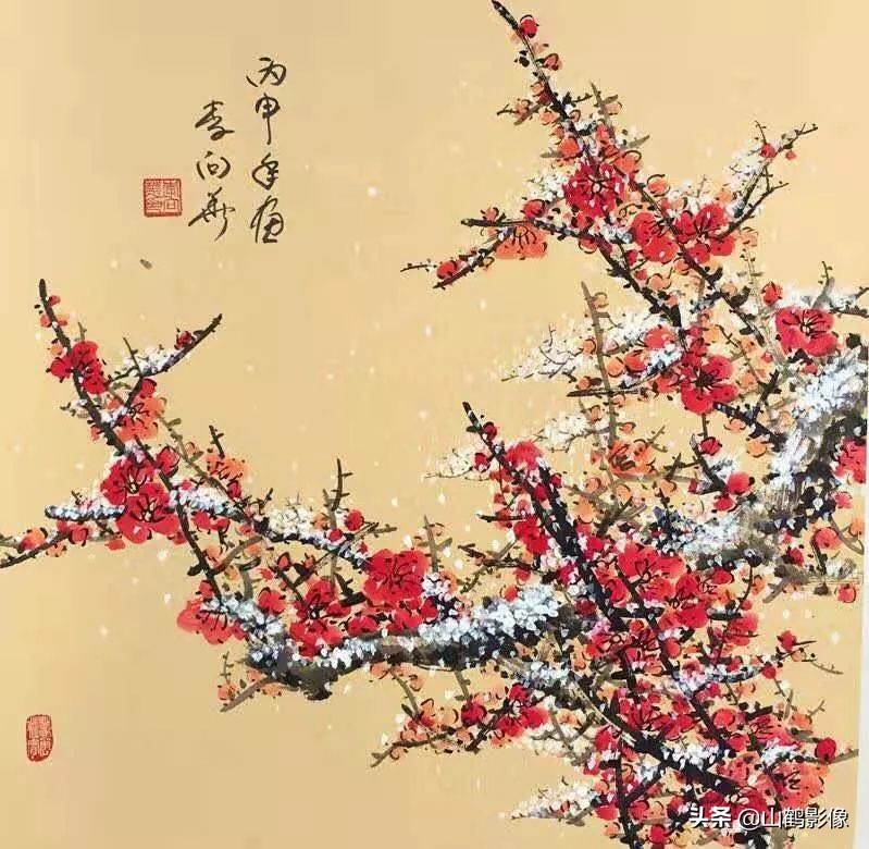 中国四大国花是什么,中国国花牡丹介绍