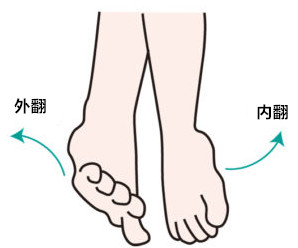 游泳打腿速度练习,游泳打脚发力