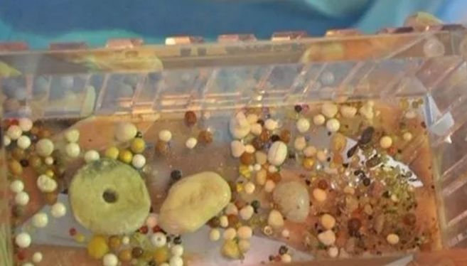 舍利子是怎么形成的没有具体定论,舍利子到底是如何形成的