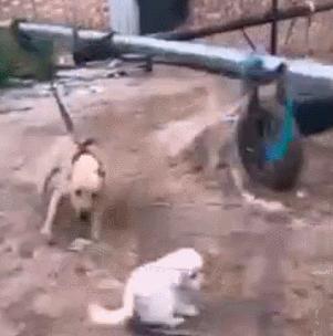 怎样享受生活快乐,怎样享受生活的快乐