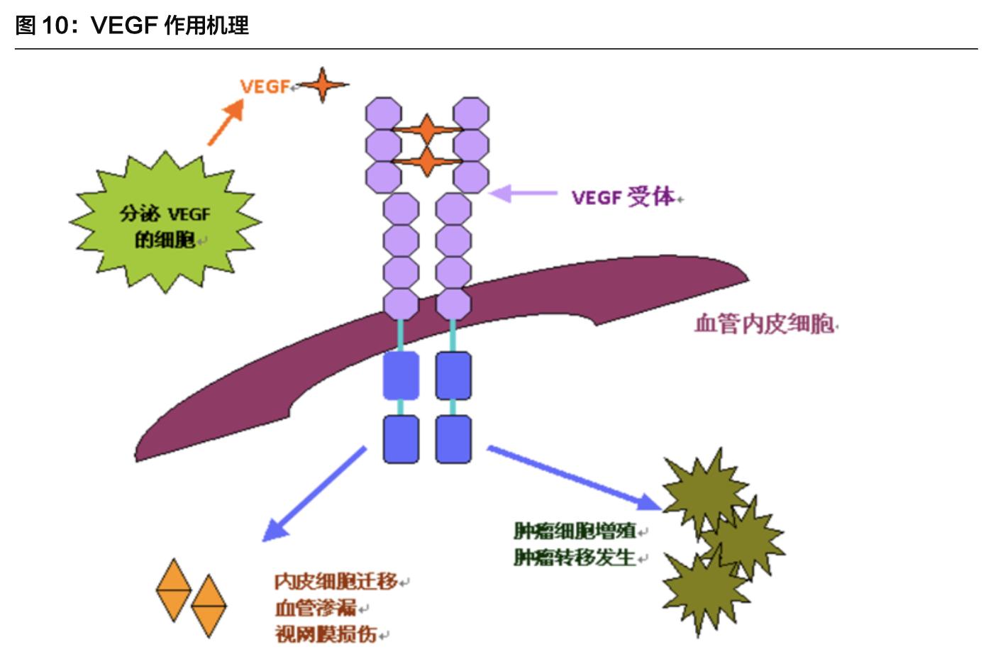 康弘药业深度分析最新,中国康弘药业的发展