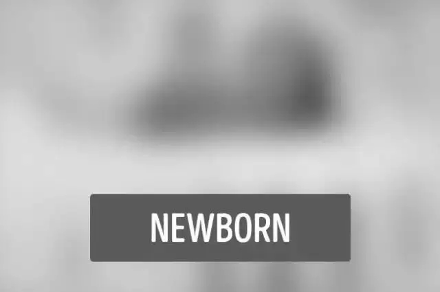 宝宝出生看世界样子,宝宝刚出生看世界是什么样子