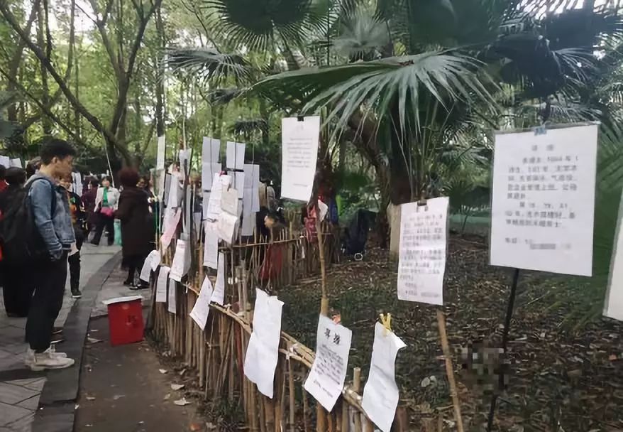 越来越多年轻人去成都重庆,大量年轻人到成都就业