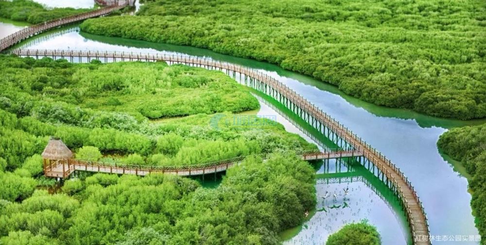 2020年海南自贸区有什么商机,2023海南自贸港新机遇