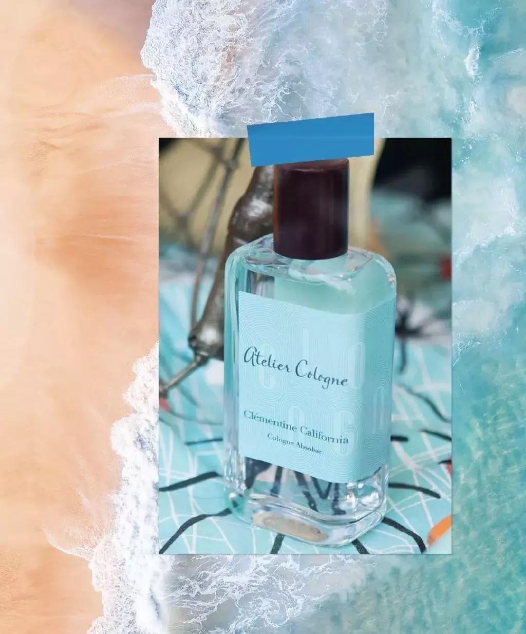 迪奥真我缪斯香水淡香好还是浓香,香奈儿黑coco香水淡香和浓香