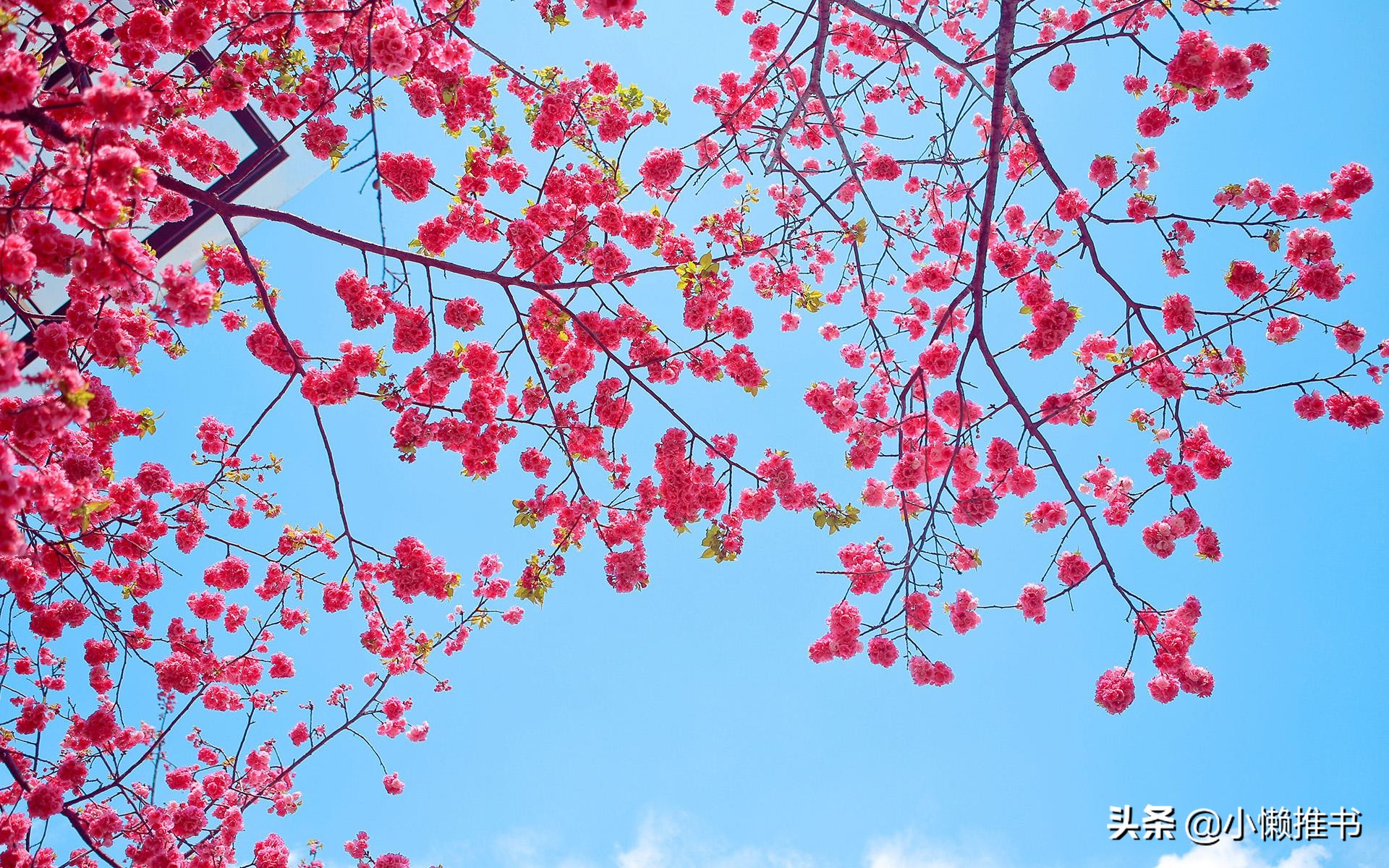 5本质量文笔俱佳的现言推荐，成人童话也很美