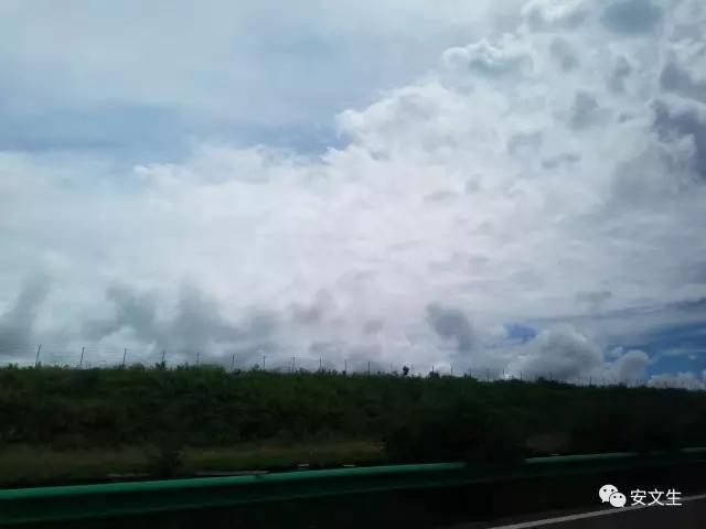 若木的简介,扶桑和若木