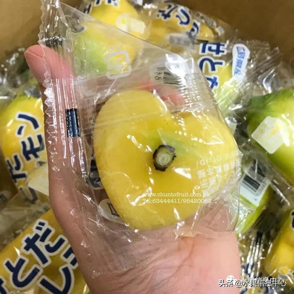 进口水果生意年入千万,批发水果月入百万