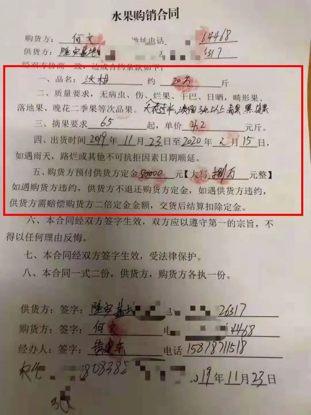 沃柑9斤19.9,广东本地砂糖桔