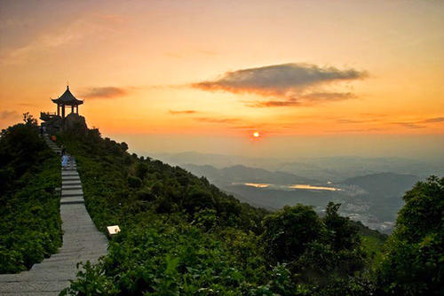 深圳罗湖鹏城花园,深圳鹏城花园图片