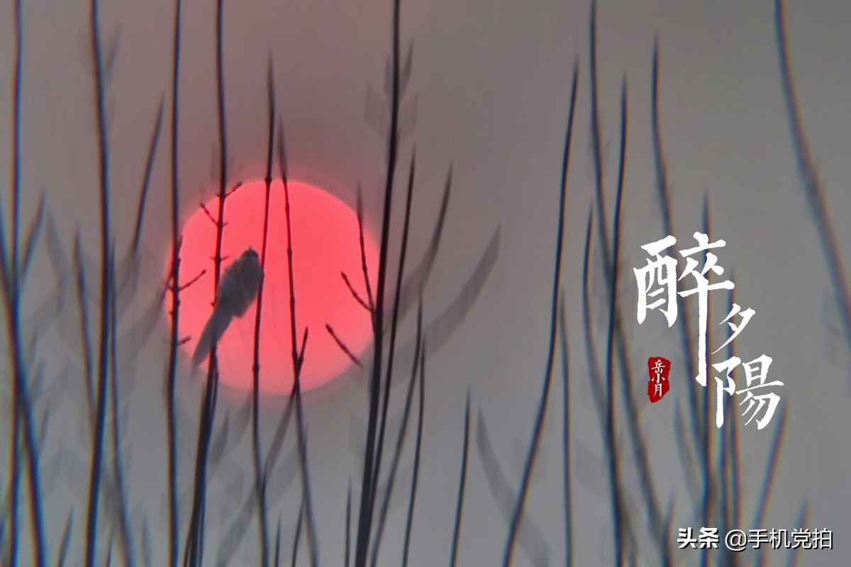 手机图片复古印章制作,给照片加复古小印章