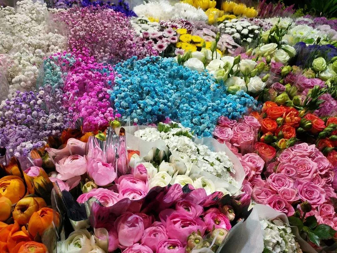 国内最治愈安静的地方,北京小众又文艺的地方