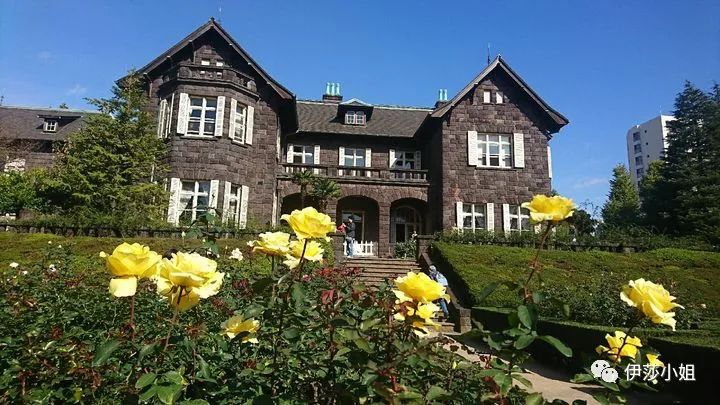 不看樱花能不能进武大,看樱花不一定要去日本的说说