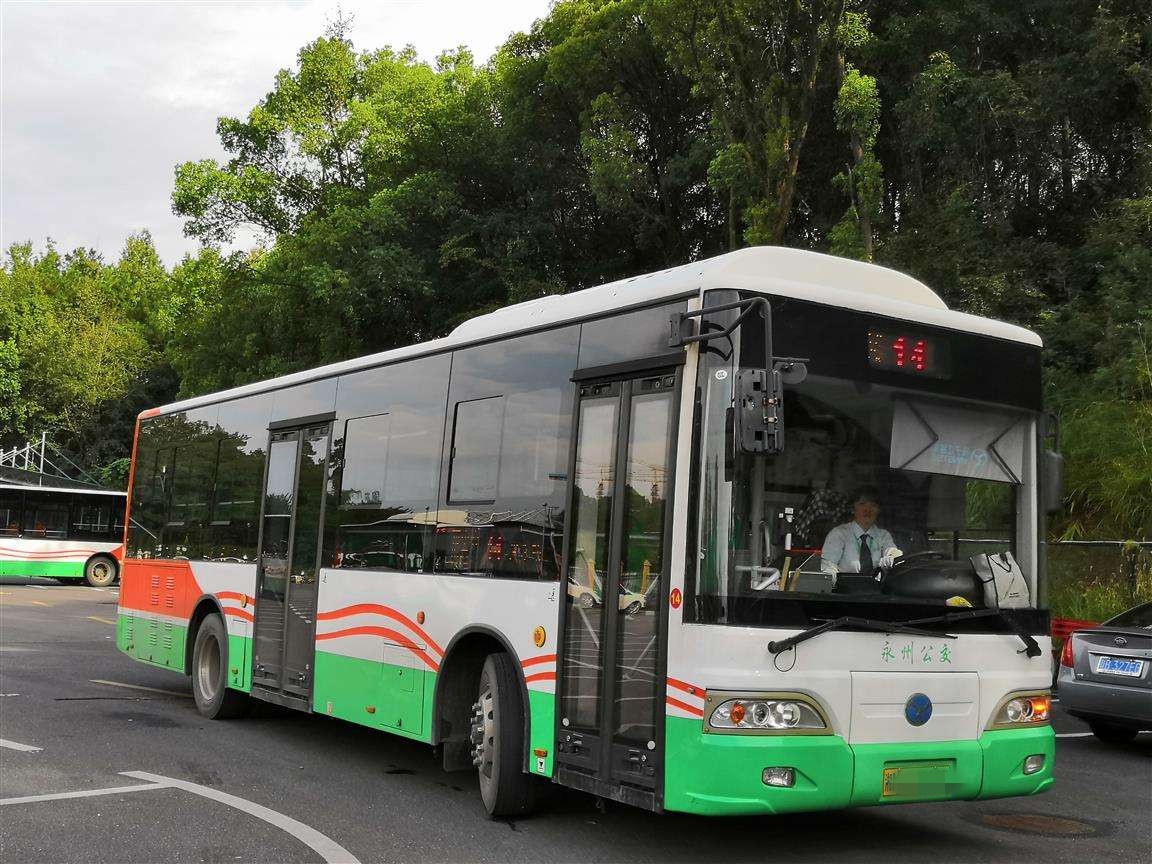 初次考驾照，A3和B2哪个好？它们的准驾车型和就业方向有什么区别