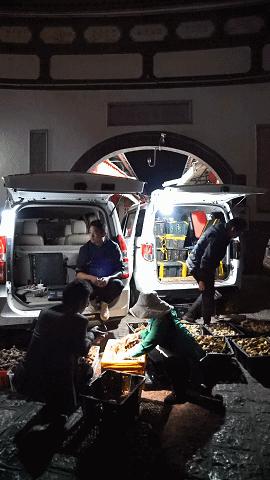 疯狂的松茸,疯狂的野生菌