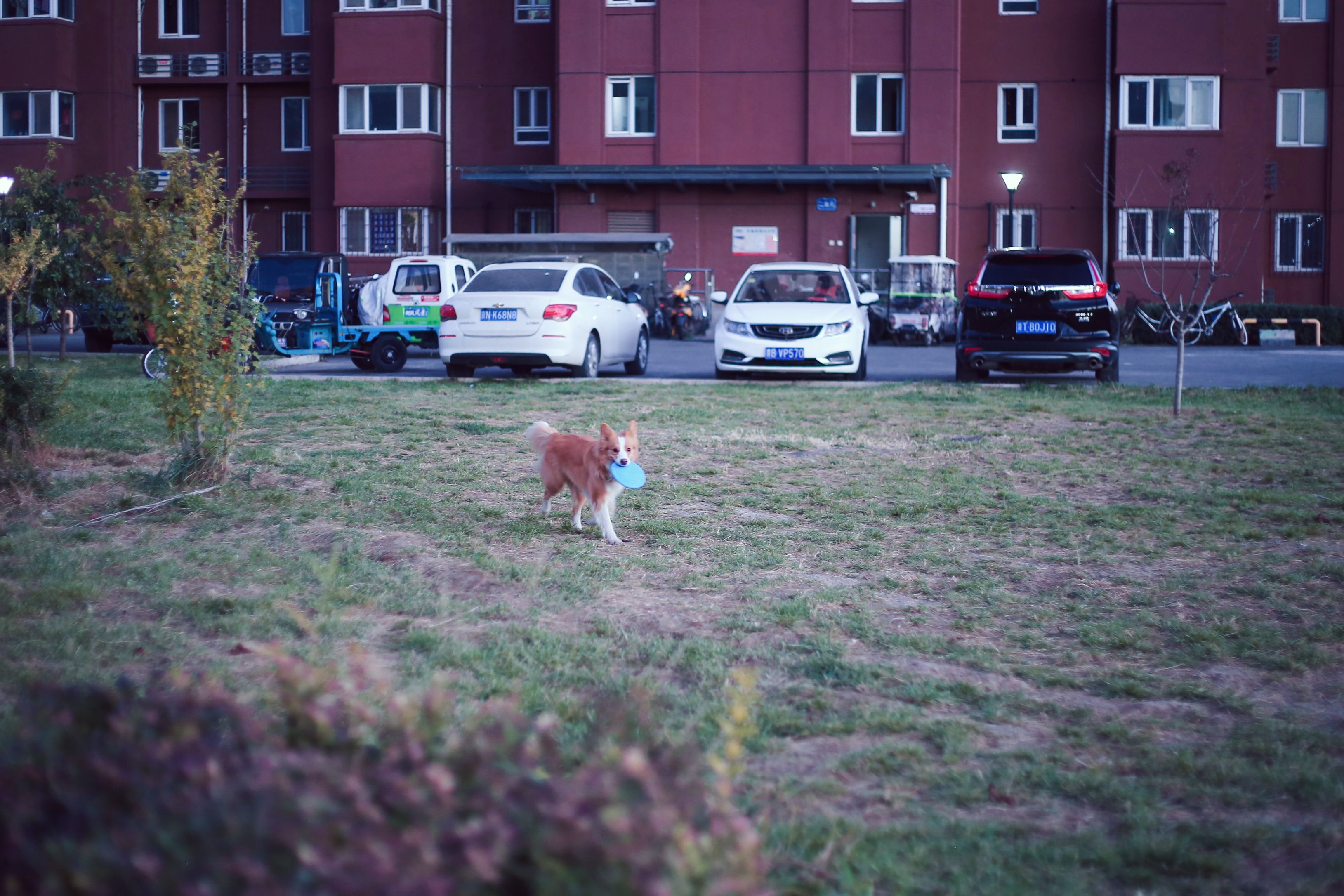 单人充气懒人床,自动充气床舒适感