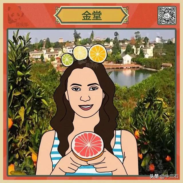 成都各区域居民烦恼图鉴,成都便民指南