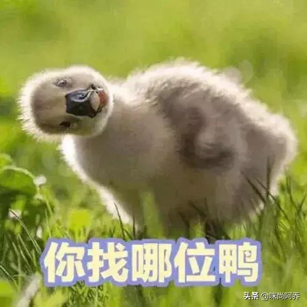 90后和00后的代沟到底有多大了,原来90后和00后的代沟都这么大了