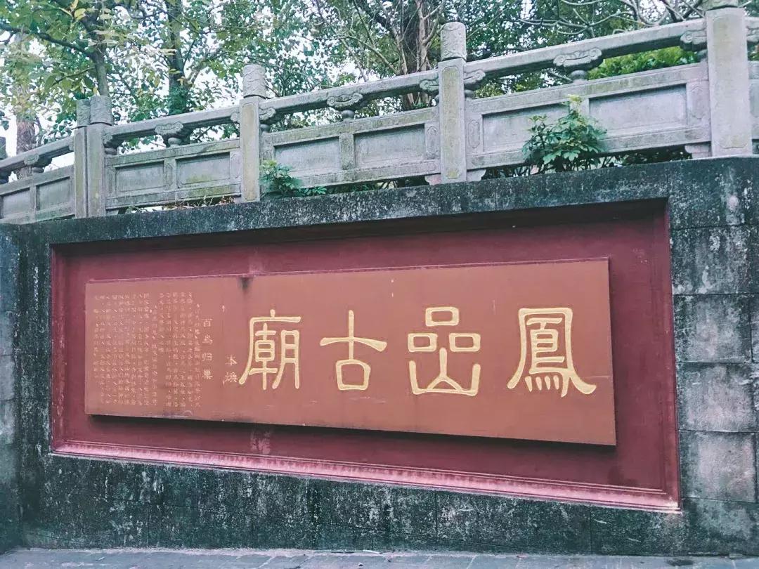 深圳这座城市很美,深圳这座城市风景太美了