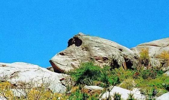 你心目中的乳山是什么样子的？