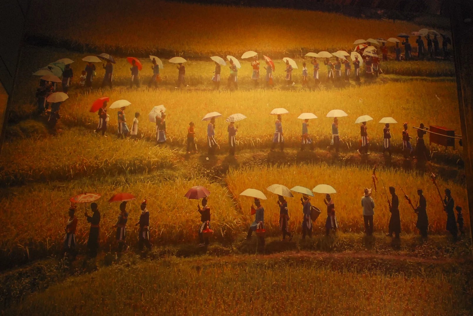 80岁老爷爷的眼睛,80年代的年轻人眼里全是光