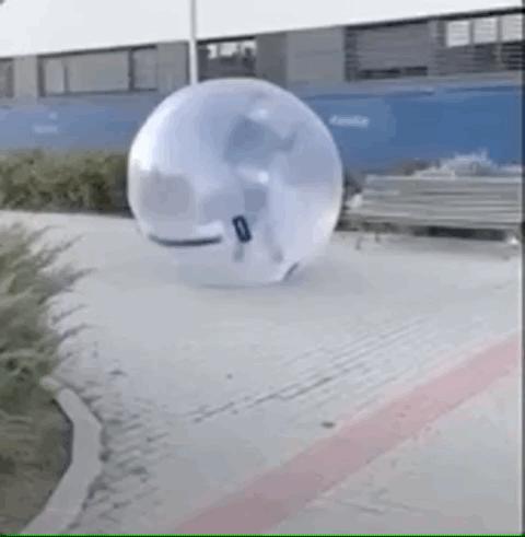 全球各地放松疫情限制,全球各国最新防疫政策