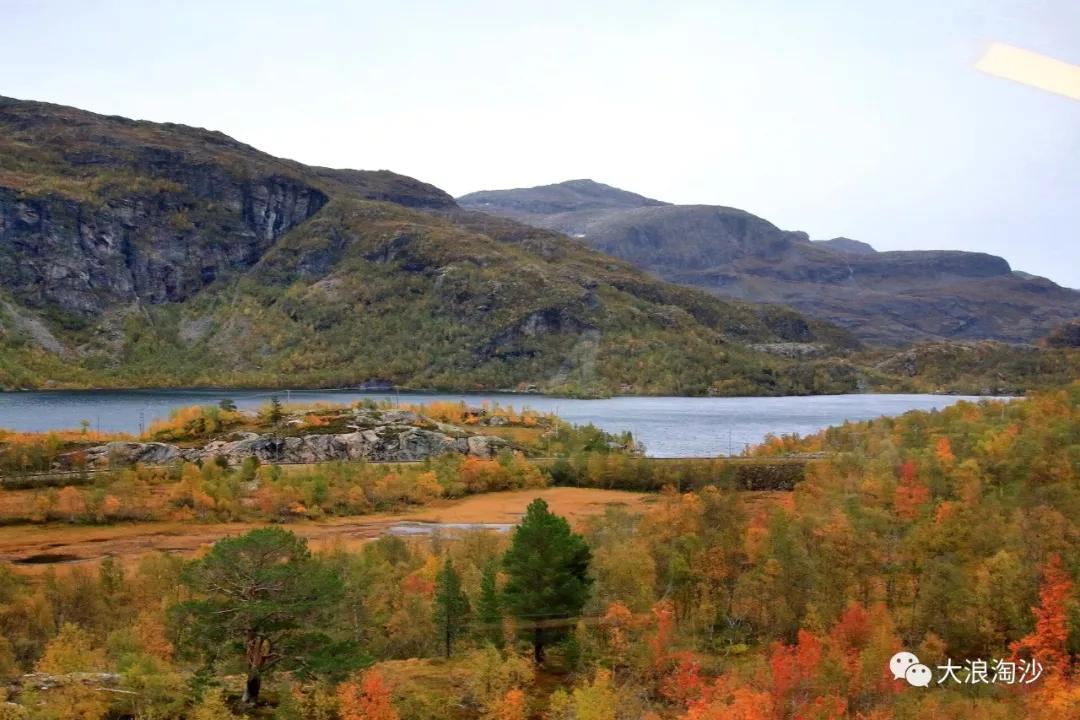 北欧三国旅游介绍,北欧三国旅游指南