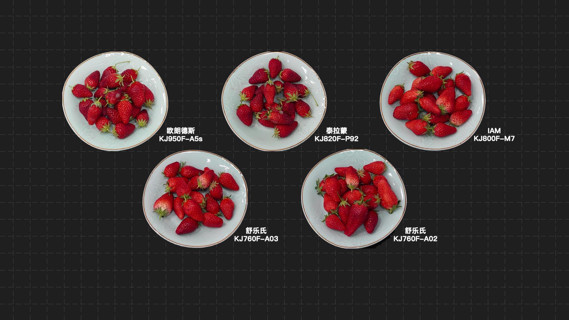 舒乐氏和泰拉蒙空气净化器哪个好,舒乐氏和泰拉蒙哪个空气净化器好