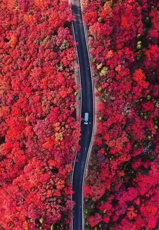 打造地方特色文旅项目,重磅打造的文旅项目