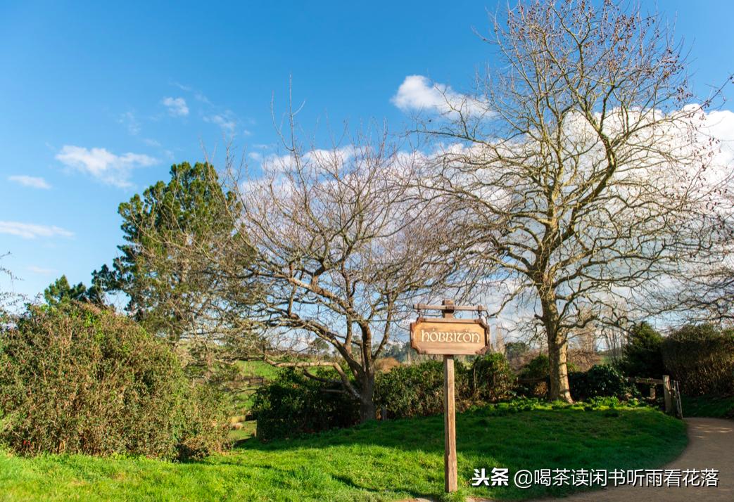 13天自驾新西兰，这个不缺蓝天与绿草的国度无比的热情富有生命力