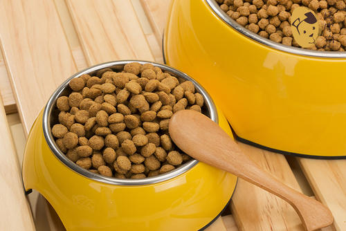 柯基吃什么牌子狗粮好,柯基狗粮性价比高的牌子