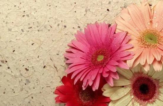 简书经验,简书怎么入门