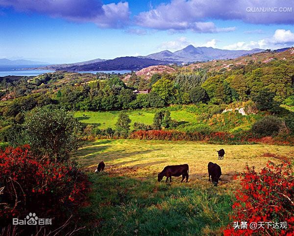 欧洲史|爱尔兰:议会共和制国家,与英国隔海相望,是“翡翠岛国”