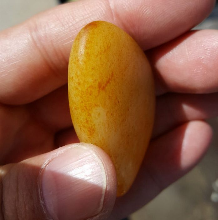 新疆和田玉籽料滚筒染色,染色和田玉籽料皮色特点