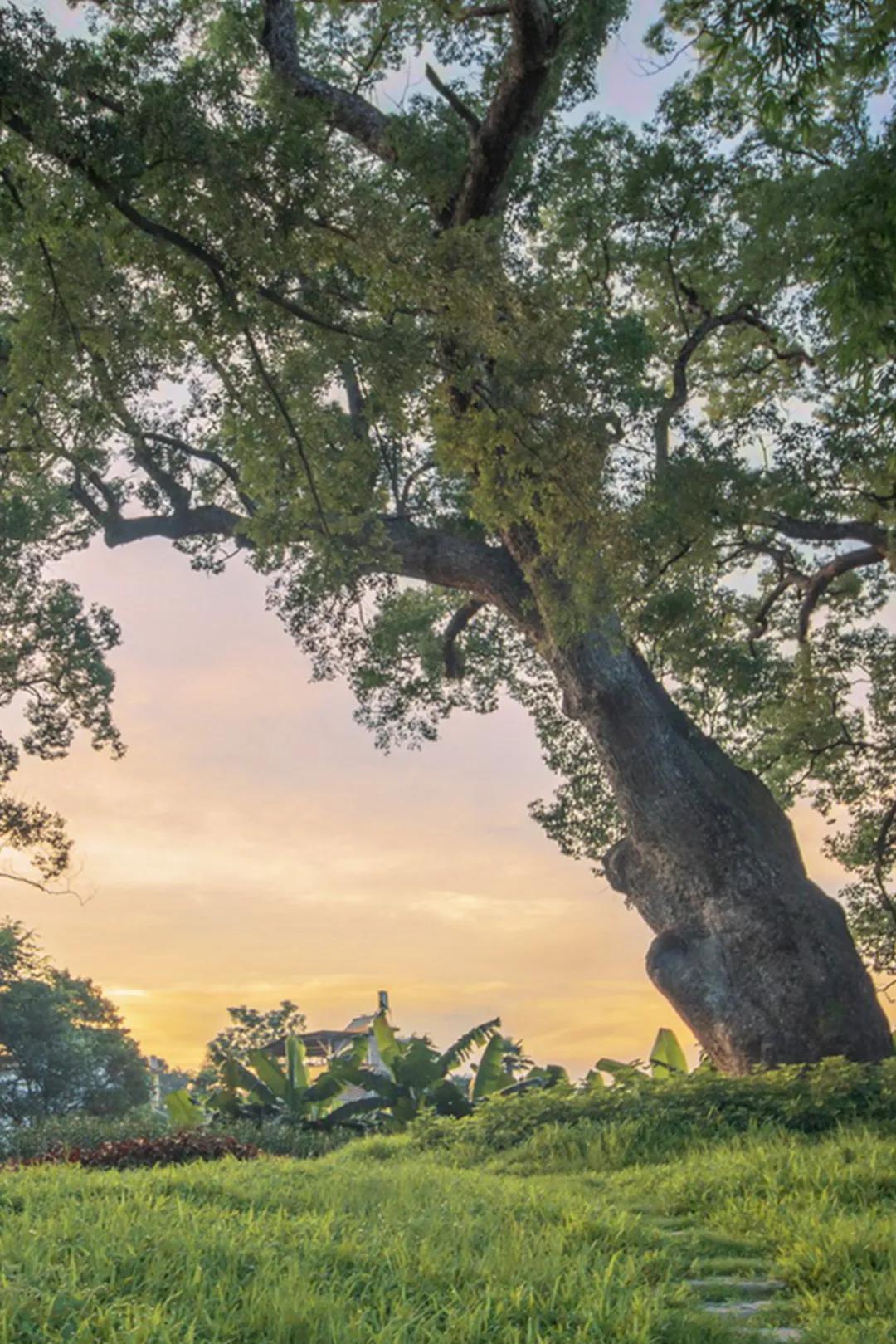 不能错过的游览胜地,不能错过的自驾游