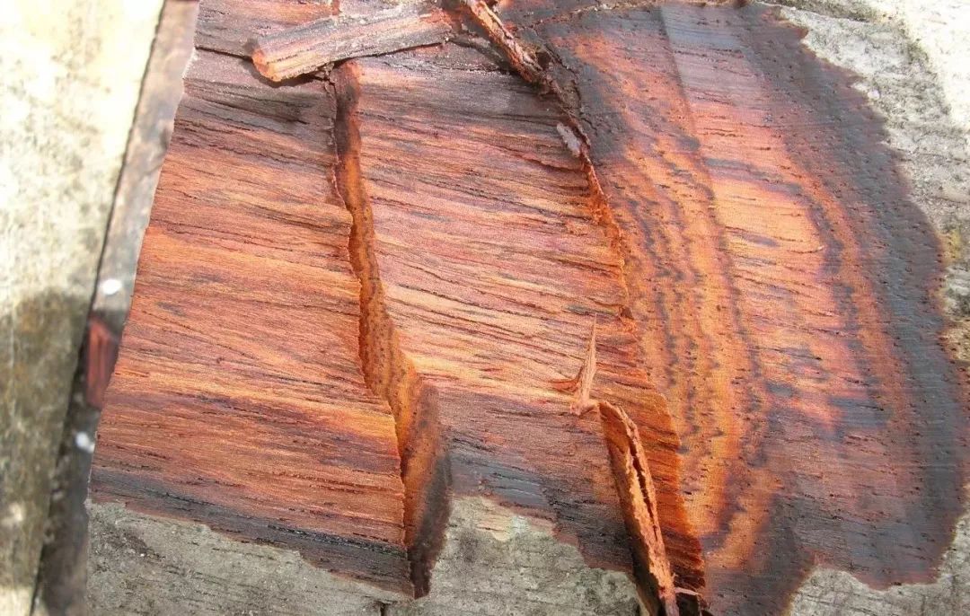 国标红木29种高清图,29种国标红木排名及价格