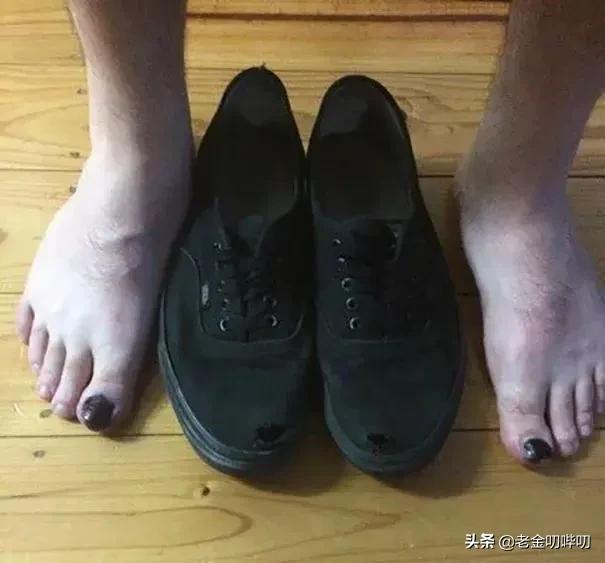 为了赚钱真是无所不用其极,为了要钱无所不用其极完整版