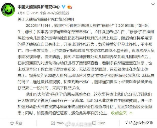 大熊猫幼崽窒息视频,大熊猫幼崽窒息后续