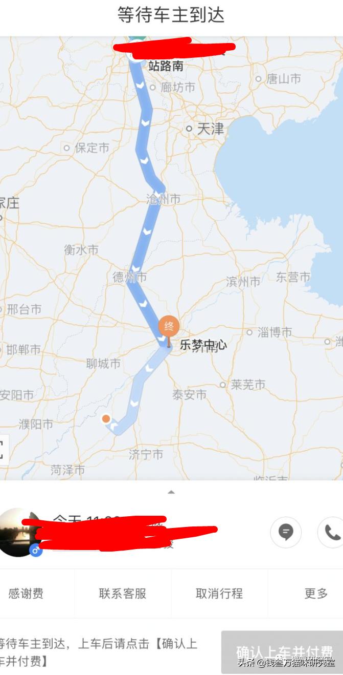 宠物托运全过程狗狗,宠物托运全过程国外