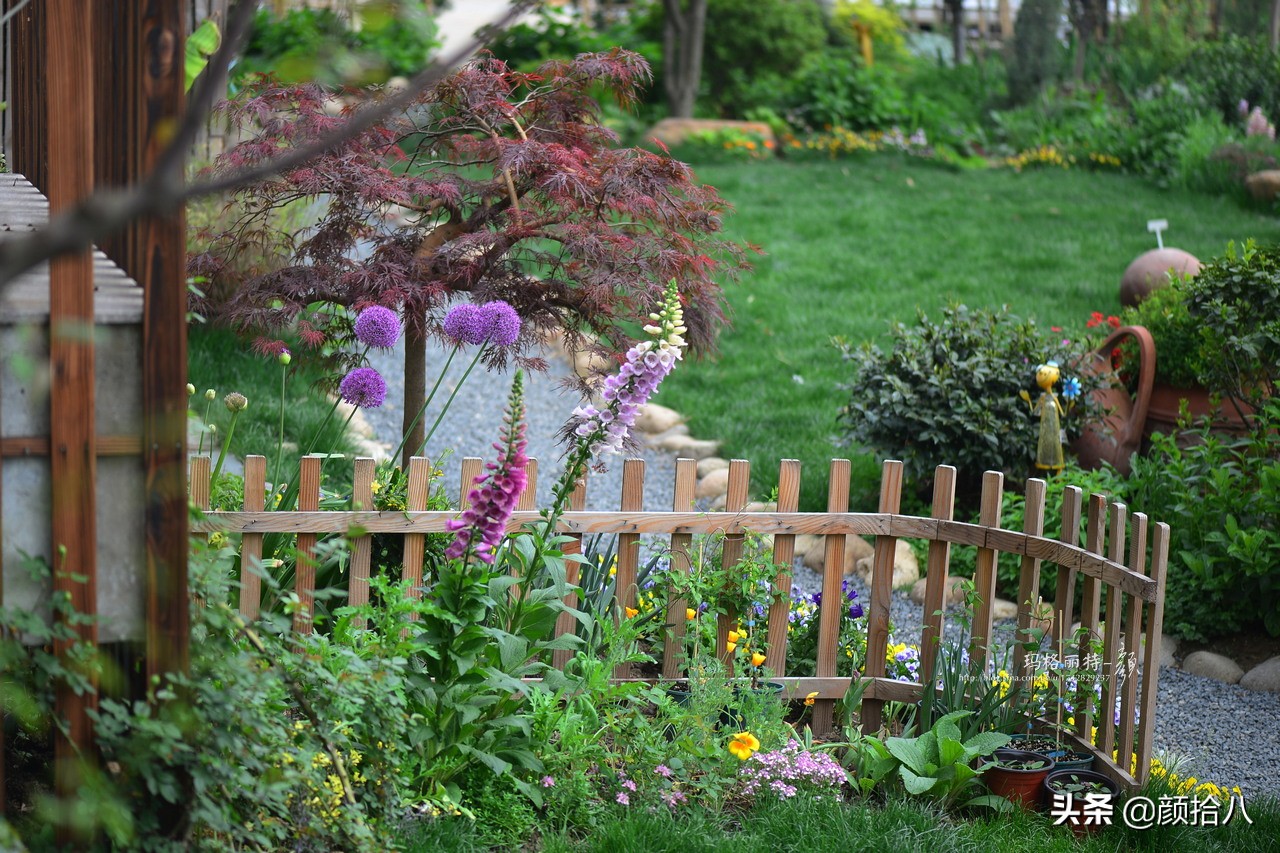 愿时光静止,愿时光静止在这一刻