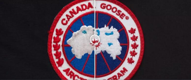 都说鹅绒贵为什么售价比鸭绒便宜,加拿大鹅和蒙克羽绒服哪件比较好