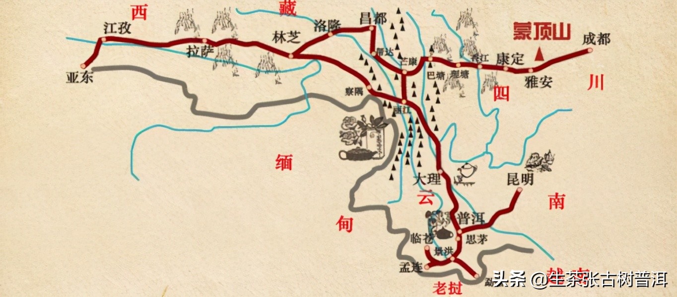 干货分享西双版纳普洱茶茶山行,普洱茶马古道起点