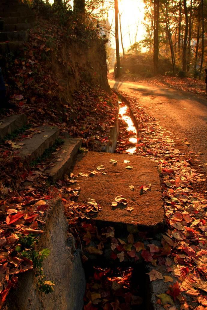 王维最精彩的山水诗，40个字的唐诗有30字在写秋天山林美景