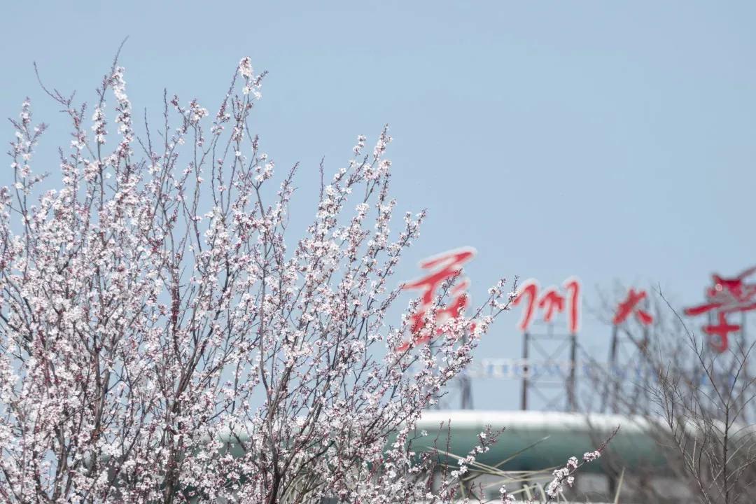 江苏省高校(六十六)苏州大学应用技术学院
