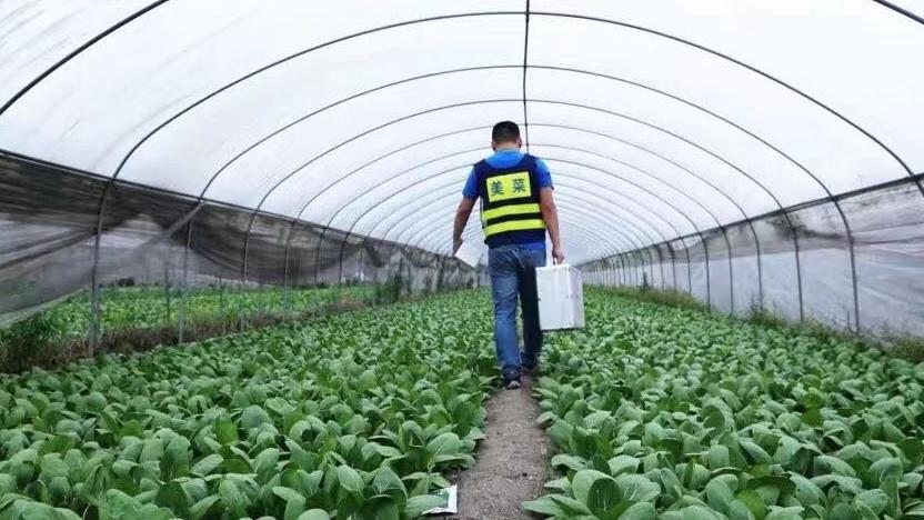 美菜:打造高效供应链让农产品从地头直达餐桌