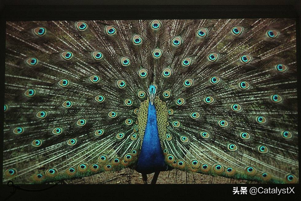 明基i707投影仪配什么幕布,明基i707投影仪如何全屏