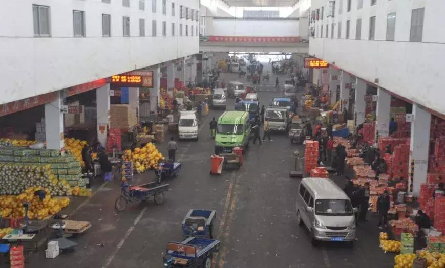 日本青提水果价格,日本青提一串多少钱