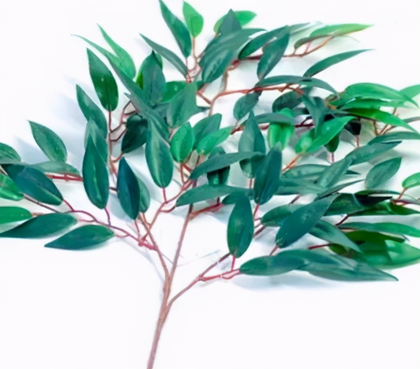 日本珂润的水乳适合敏感皮肤吗,珂润的清爽型水乳