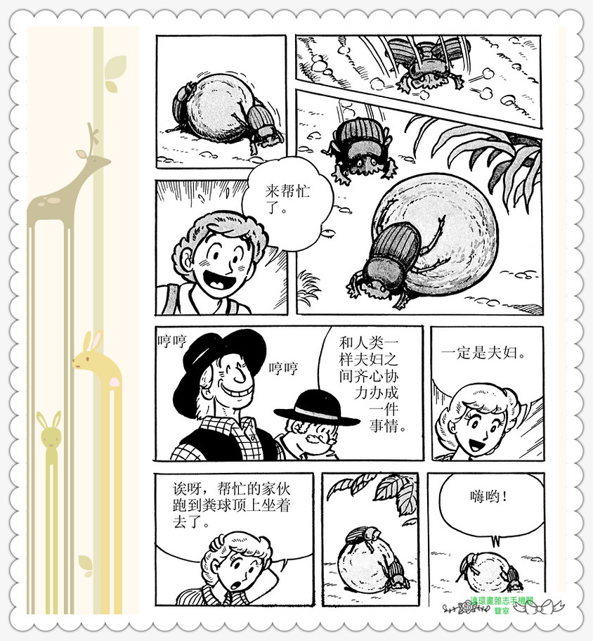 昆虫记法布尔动画片,昆虫记法布尔全套